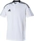 Meeste T-särk Adidas Tiro 21 Polo M GM7363, valge цена и информация | T-särgid meestele | hansapost.ee