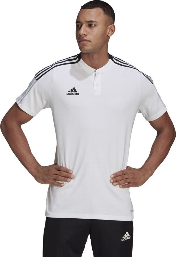 Meeste T-särk Adidas Tiro 21 Polo M GM7363, valge цена и информация | T-särgid meestele | hansapost.ee