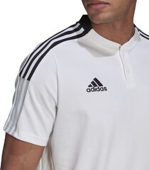 Meeste T-särk Adidas Tiro 21 Polo M GM7363, valge цена и информация | Мужские футболки | hansapost.ee