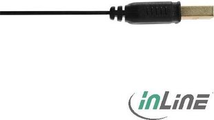 InLine USB-A - microUSB 2 м (31720F) цена и информация | Borofone 43757-uniw | hansapost.ee