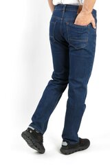 Джинсы EVIN цена и информация | Мужские джинсы | hansapost.ee