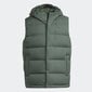 Adidas Vestid Helionic Vest Green HG6274 цена и информация | Vestid meestele | hansapost.ee