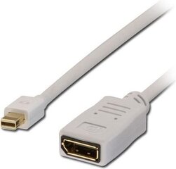 Кабель Lindy DisplayPort Mini - DisplayPort 1,5 м, белый цена и информация | Адаптеры, USB-разветвители | hansapost.ee