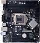 Biostar H81MHV3 2.0, Micro ATX, LGA1151, DDR3 hind ja info | Emaplaadid | hansapost.ee