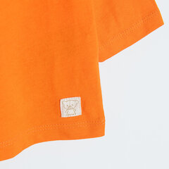 Cool Club футболка с длинными рукавами для мальчиков, CCB2501515 цена и информация | Рубашки для мальчиков | hansapost.ee