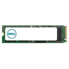 Dell AB292883, 512GB hind ja info | Sisemised kõvakettad | hansapost.ee