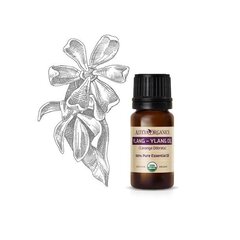 Orgaaniline Ylang-Ylangi eeterlik õli Alteya Organics, 10 ml цена и информация | Эфирные, косметические масла, гидролаты | hansapost.ee