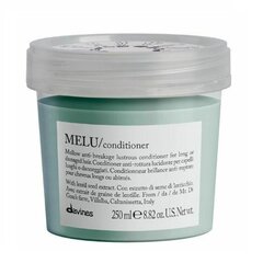 Кондиционер для длинных и поврежденных волос Davines Essential Haircare Melu, 250 мл цена и информация | Бальзамы | hansapost.ee