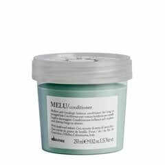 Кондиционер для длинных и поврежденных волос Davines Essential Haircare Melu, 250 мл цена и информация | Бальзамы, кондиционеры | hansapost.ee