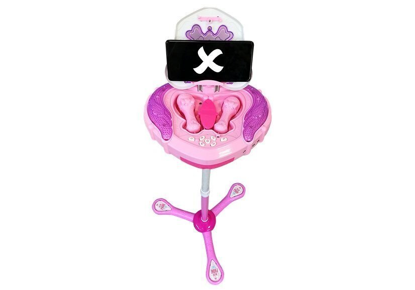 Mängumikrofon Lean Toys, roosa цена и информация | Arendavad laste mänguasjad | hansapost.ee