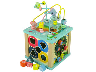Развивающая игра Lean Toys Cube сортировочный лабиринт цена и информация | Развивающие игрушки для детей | hansapost.ee