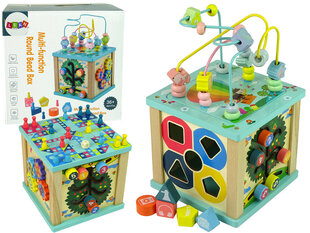 Arendav mäng Lean Toys Kuubikute sorteerimise labürint hind ja info | Arendavad laste mänguasjad | hansapost.ee