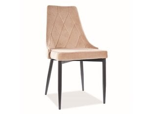 Комплект из 4-х стульев Signal Meble Trix B, бежевый цена и информация | Стулья для кухни и столовой | hansapost.ee