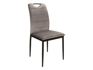 Комплект из 4-х стульев Signal Meble Rip, серый цена и информация | Стулья для кухни и столовой | hansapost.ee