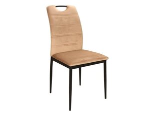 4-tooli komplekt Signal Meble Rip, beeži värvi hind ja info | Köögitoolid, söögitoolid | hansapost.ee