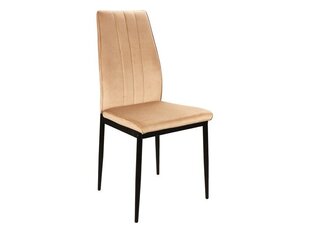 4-tooli komplekt Signal Meble Atom, beeži värvi hind ja info | Köögitoolid, söögitoolid | hansapost.ee