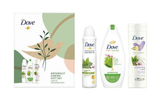 Komplekt Dove Awakening: dušigeel, 250 ml + ihupiim, 225 ml + spreideodorant, 150 ml hind ja info | Dušigeelid, õlid | hansapost.ee