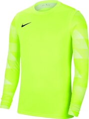 Nike Dry Park IV JSY LS GK JUNIOR väravavahi pluus CJ6072 702 hind ja info | Jalgpalli varustus ja riided | hansapost.ee