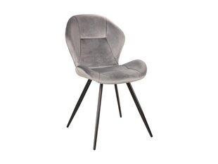 Комплект из 4 стульев Signal Meble Ginger Velvet, серый цена и информация | Стулья для кухни и столовой | hansapost.ee