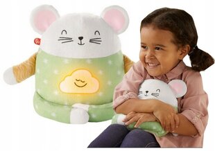 Интерактивная, успокаивающая игрушка «Мышонок», Fisher-Price цена и информация | Игрушки для малышей | hansapost.ee