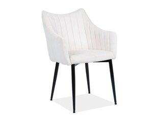 Комплект из 2-х стульев Signal Meble Monte, белый цена и информация | Стулья для кухни и столовой | hansapost.ee