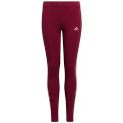 Spordipüksid tüdrukutele Adidas G 3S Leg W HE1997 price and information | Leggings, pants for girls | hansapost.ee