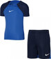 Nike Academy Pro Training Kit Jr DH9484 463 DH9484463 цена и информация | Poiste riiete komplektid | hansapost.ee