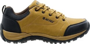 Обувь для мужчин Hi-Tec Canori Low, M, коричневый, 92800210784 цена и информация | Кроссовки мужские | hansapost.ee