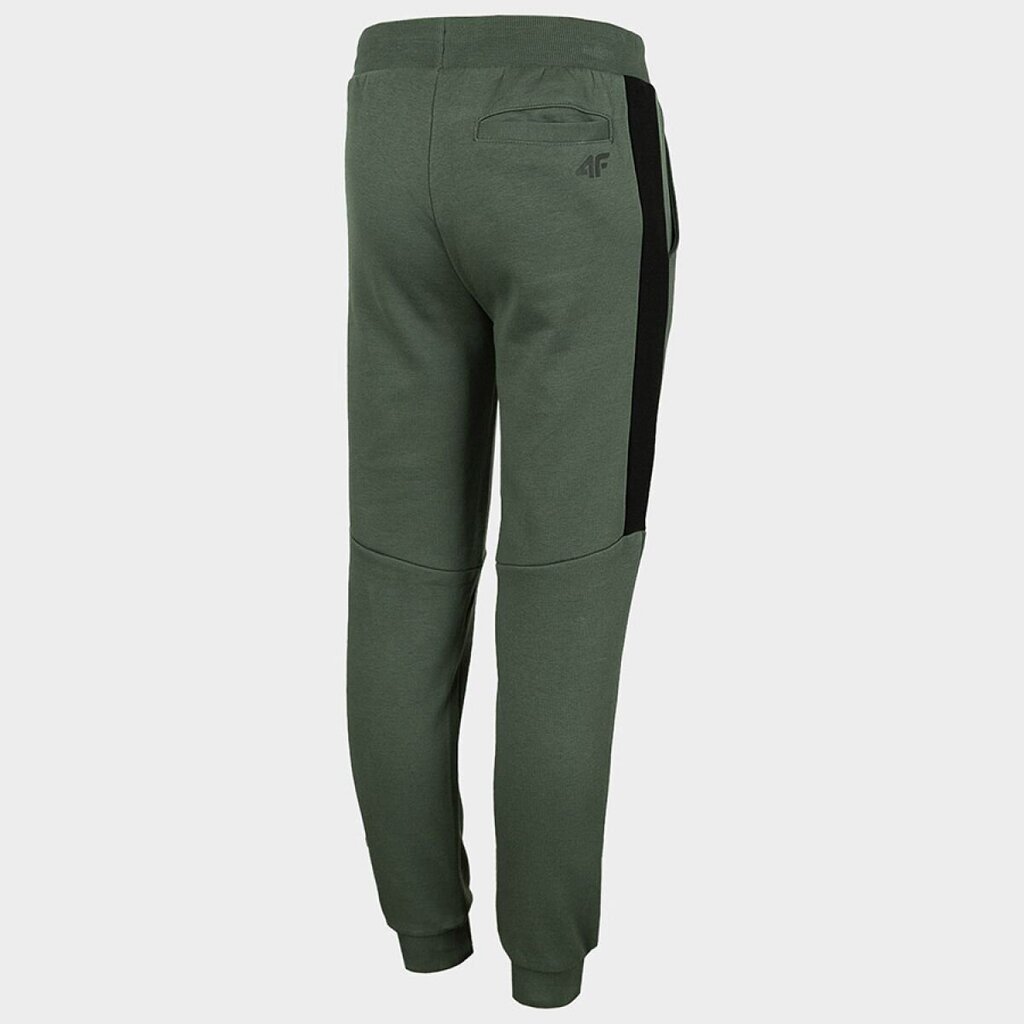 Poiste püksid 4F Jr HJZ22-JSPMD002 46S, rohelised hind ja info | Retuusid, püksid tüdrukutele | hansapost.ee