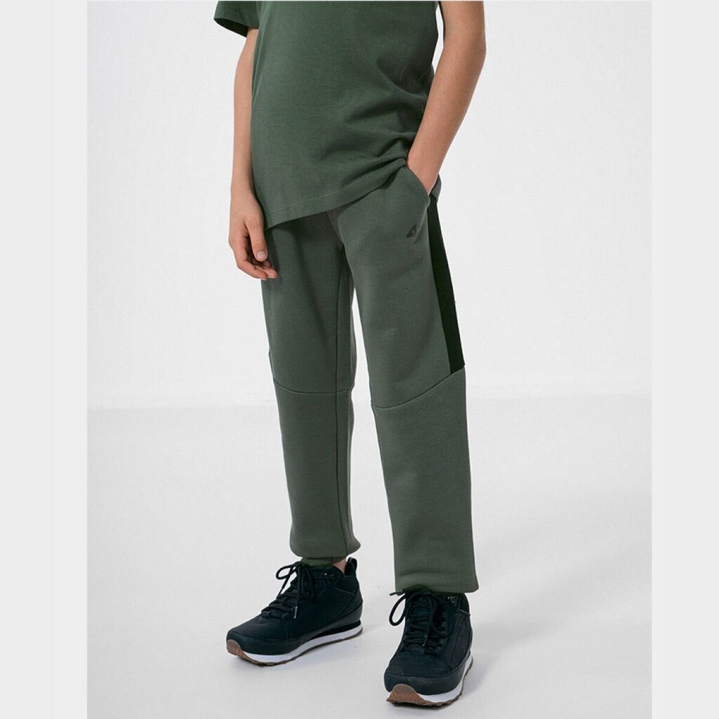 Poiste püksid 4F Jr HJZ22-JSPMD002 46S, rohelised hind ja info | Retuusid, püksid tüdrukutele | hansapost.ee