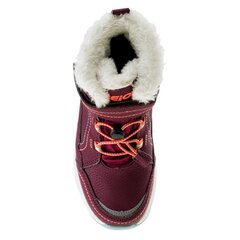 Зимние сапоги для детей Bejo Dibis Jr 92800 280 569 цена и информация | Детская спортивная обувь | hansapost.ee