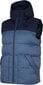 Vest 4F M H4Z22 KUMP002 31S, sinine цена и информация | Vestid meestele | hansapost.ee