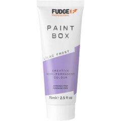 Fudge Paintbox Creative Semi Permanent Colour - Permanent paint 75 ml Lilac Frost цена и информация | Краска для волос | hansapost.ee