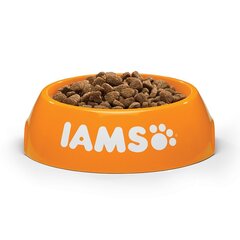 Сухой корм для кошек с курицей Iams Adult Cat Hairball, 10 кг цена и информация | Сухой корм для кошек | hansapost.ee