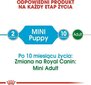 Märgtoit Royal Canin Mini Puppy, 85 g hind ja info | Koerakonservid | hansapost.ee