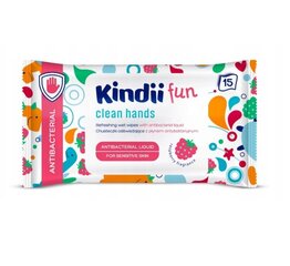 Niisked salvrätikud Kindii Fun Antibacterial Wipes, 15 tk hind ja info | Niisked salvrätikud lastele | hansapost.ee