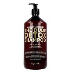 Шампунь для глубокой очистки волос Waterclouds The Dude Detox Shampoo, 1000 мл цена и информация | Шампуни | hansapost.ee