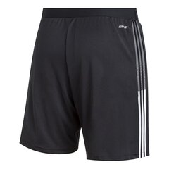 Спортивные шорты для мужчин Adidas Tiro 21 Training M GN2157, черные цена и информация | Футбольная форма и другие товары | hansapost.ee