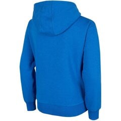 Джемпер для мальчиков 4F Jr HJZ22-JBLM006 36S, синий цена и информация | Свитеры, жилетки, пиджаки для девочек | hansapost.ee