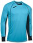 Väravavahi dressipluus Joma Sport Protect Long Sleeve 100447.011, sinine hind ja info | Jalgpalli varustus ja riided | hansapost.ee