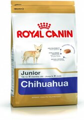 Kuivtoit koertele Royal Canin Chihuahua Junior, 1,5 kg hind ja info | Koerte kuivtoit ja krõbinad | hansapost.ee