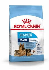 Kuivtoit imetavatele emastele koertele või kutsikatele Royal Canin Maxi Starter Mother & Babydog, 15 kg цена и информация | Сухой корм для собак | hansapost.ee