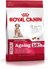 Корм Royal Canin для пожилых собак Ageing 10+, 15 кг цена и информация | Сухой корм для собак | hansapost.ee