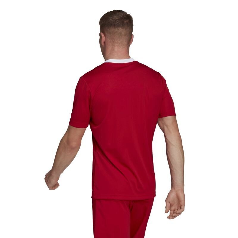 Meeste spordi t-särk Adidas Entrada 22 M H61736, punane hind ja info | Spordiriided meestele | hansapost.ee