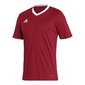 Meeste spordi t-särk Adidas Entrada 22 M H61736, punane hind ja info | Spordiriided meestele | hansapost.ee