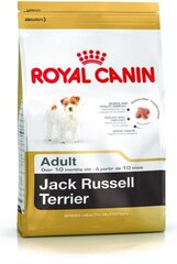 Royal Canin для собак породы Джека Рассела терьеров Adult, 0,5 кг цена и информация | Сухой корм для собак | hansapost.ee