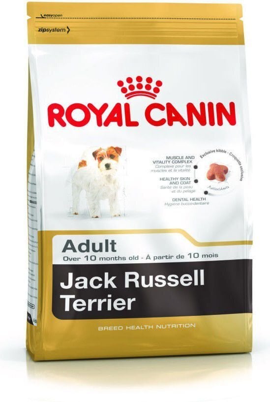 Koeratoit Jack Russell terjer tõugu koertele Royal Canin Adult, 0,5 kg цена и информация | Koerte kuivtoit ja krõbinad | hansapost.ee
