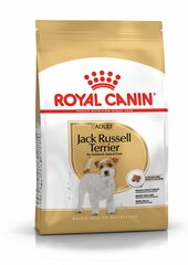 Royal Canin Jack Russelli terjeri tõugu koertele Adult, 1,5 kg hind ja info | Koerte kuivtoit ja krõbinad | hansapost.ee
