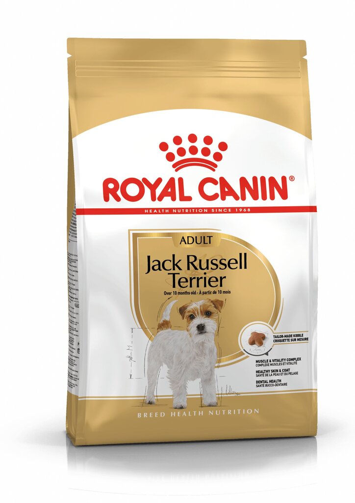 Royal Canin Jack Russelli terjeri tõugu koertele Adult, 1,5 kg цена и информация | Koerte kuivtoit ja krõbinad | hansapost.ee