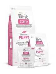 Сухой корм для щенков крупных пород Brit Care Puppy Grain-Free Salmon&Potatoс лососем и картофелем, без зерен, 1 кг цена и информация | Сухой корм для собак | hansapost.ee